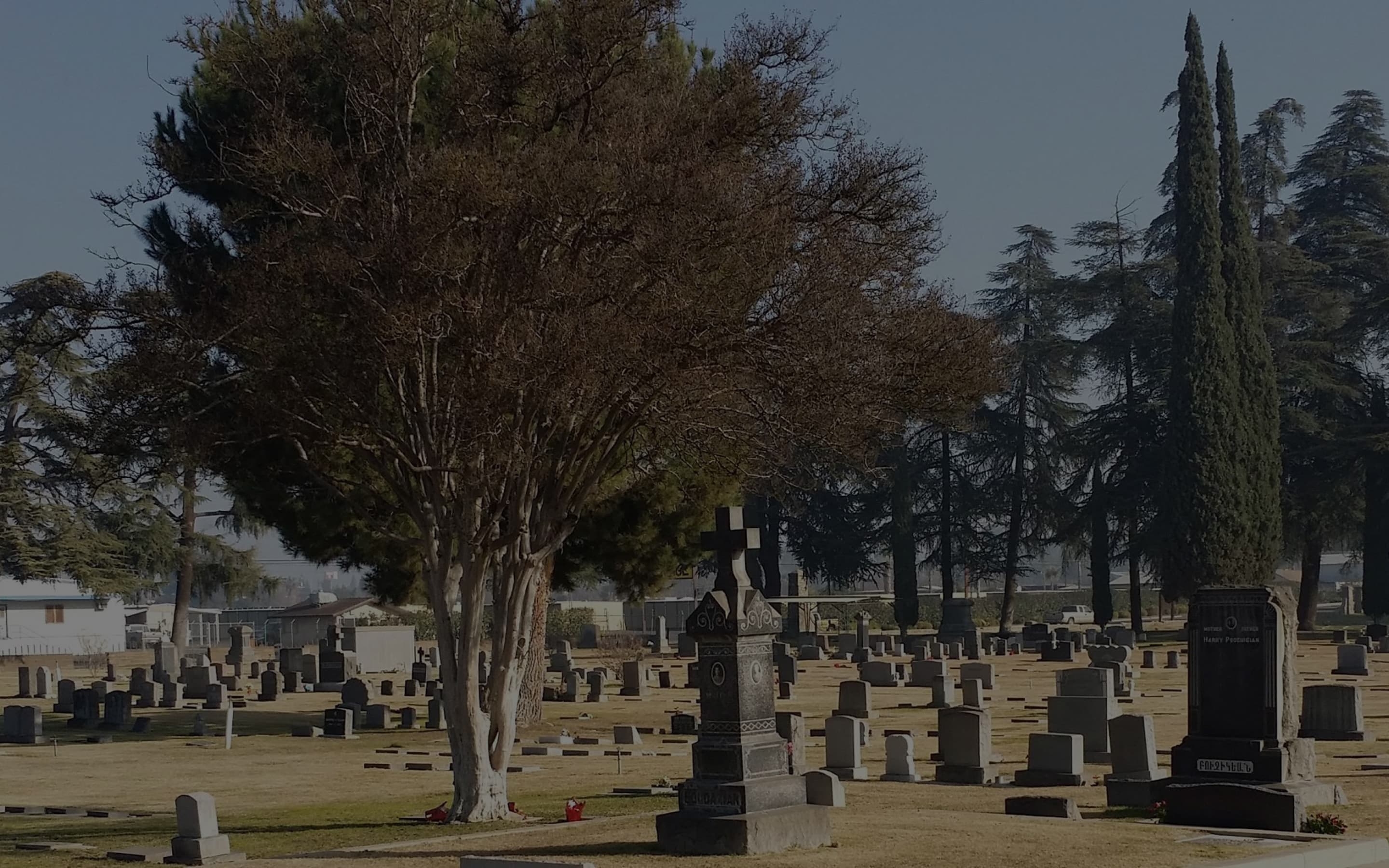 Photo with a view of Masis Ararat Armenian Cemetery